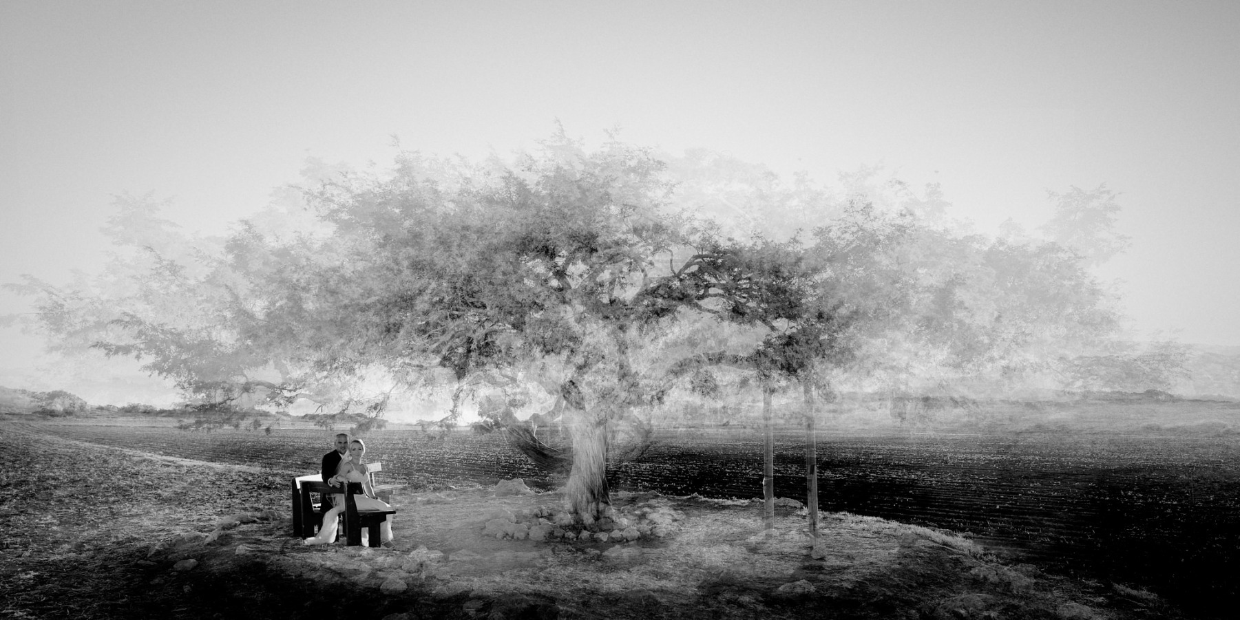 22-MONOCHROME-SMALL-QUICK-VIEWING-FACEBOOK-0612