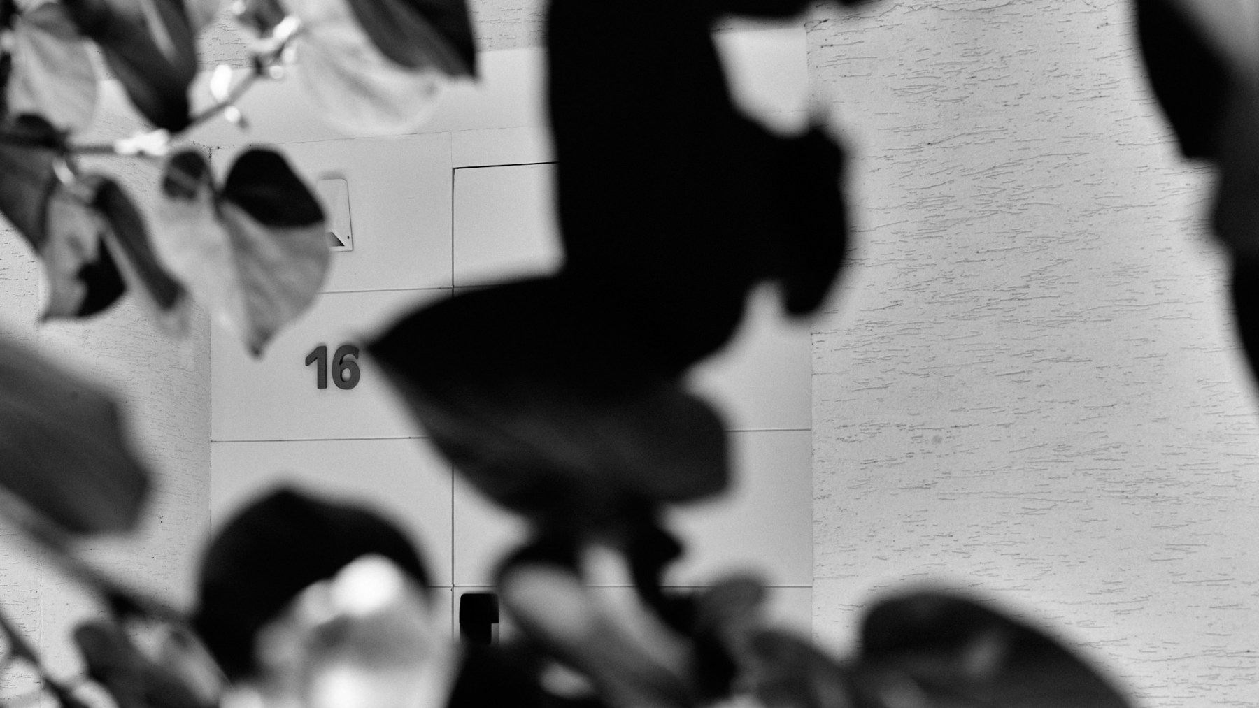 4Y-BLOG-MONOCHROME-SMALL-0018