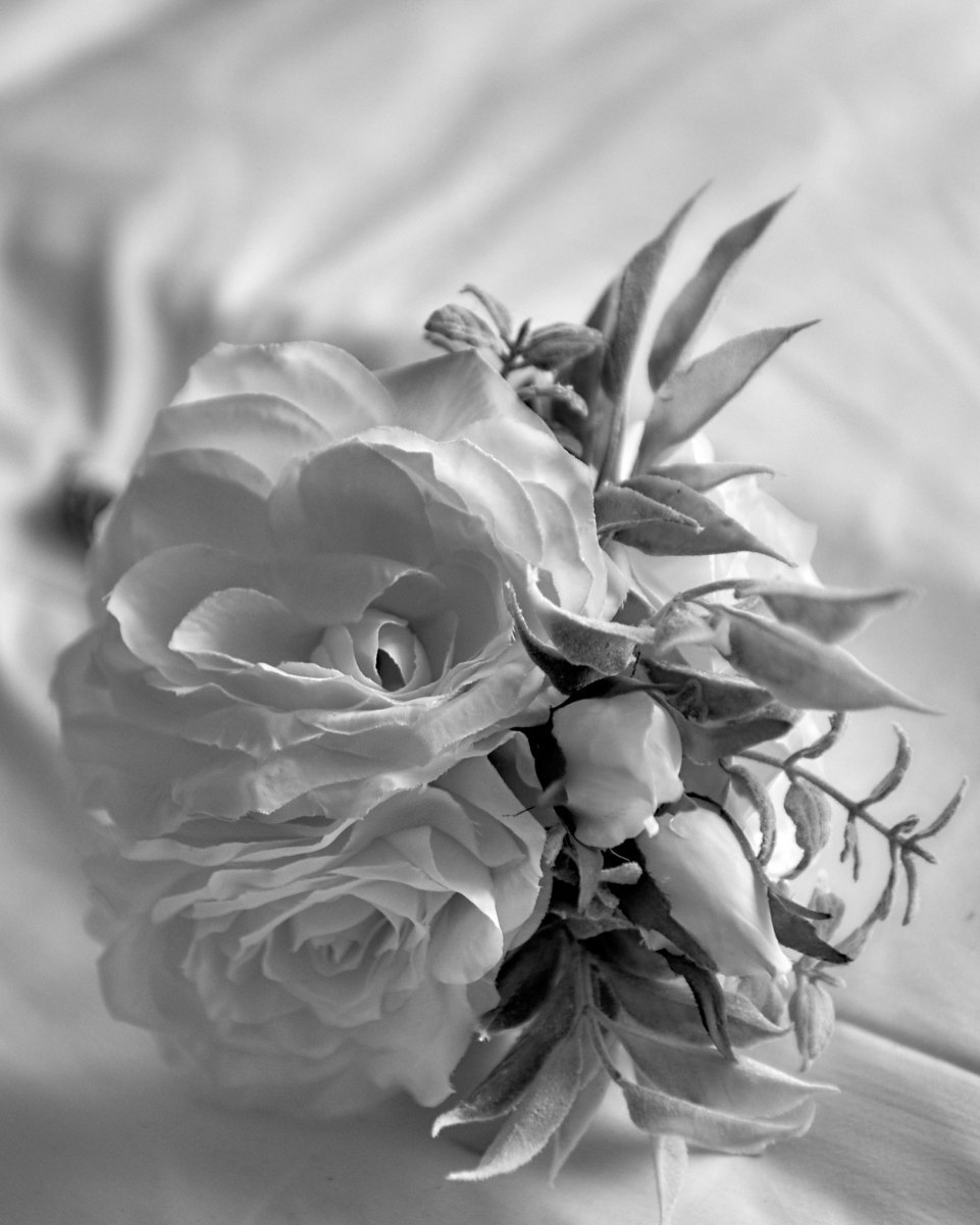 Photograph from a Cyprus Wedding Photograph from a Cyprus Wedding